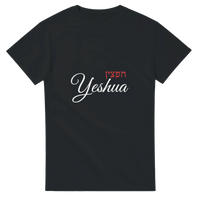 Load image into Gallery viewer, 746b3bfa-510c-486c-9545-772e58c0a042